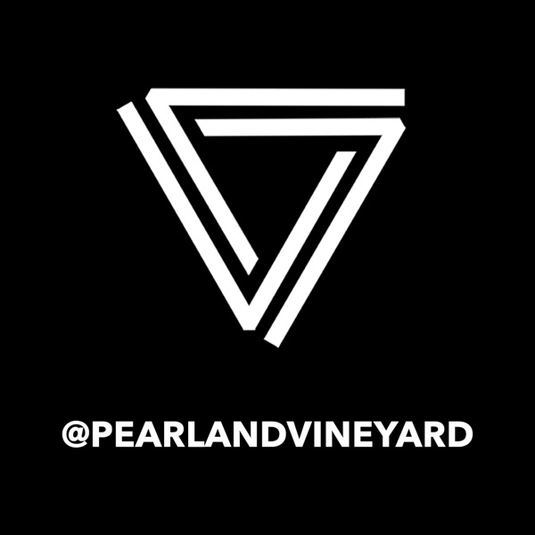 Logo of THE VINEYARD CHURCH PEARLAND
