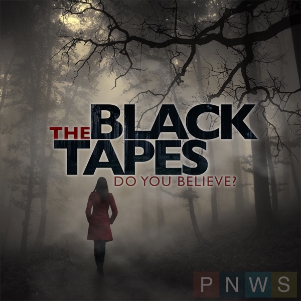 Logo of The Black Tapes